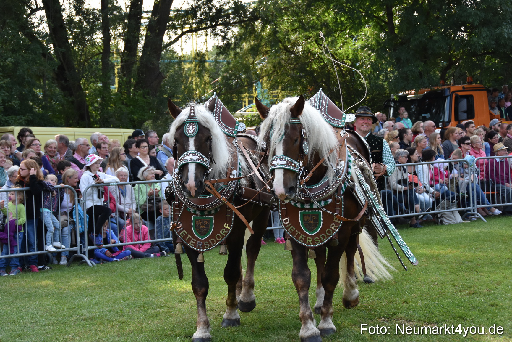 Pferde und Fohlenschau 2017 0130