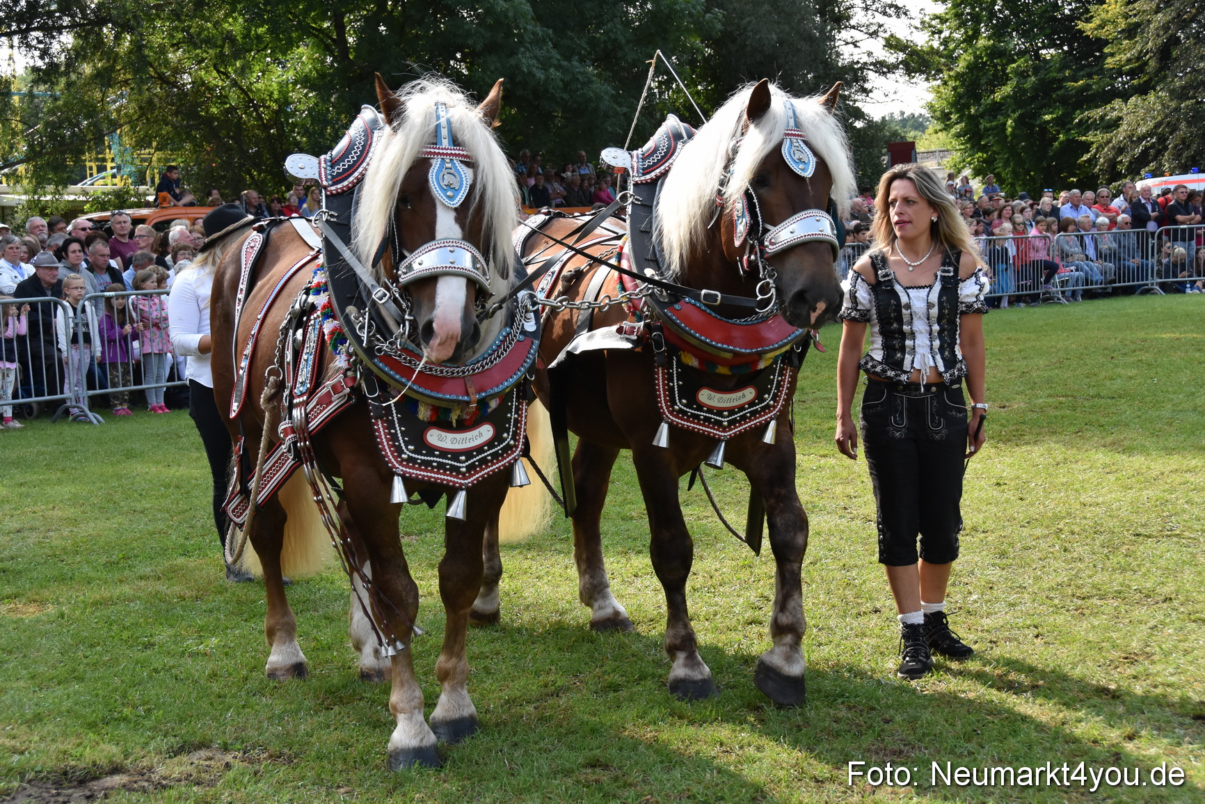 Pferde und Fohlenschau 2017 0132