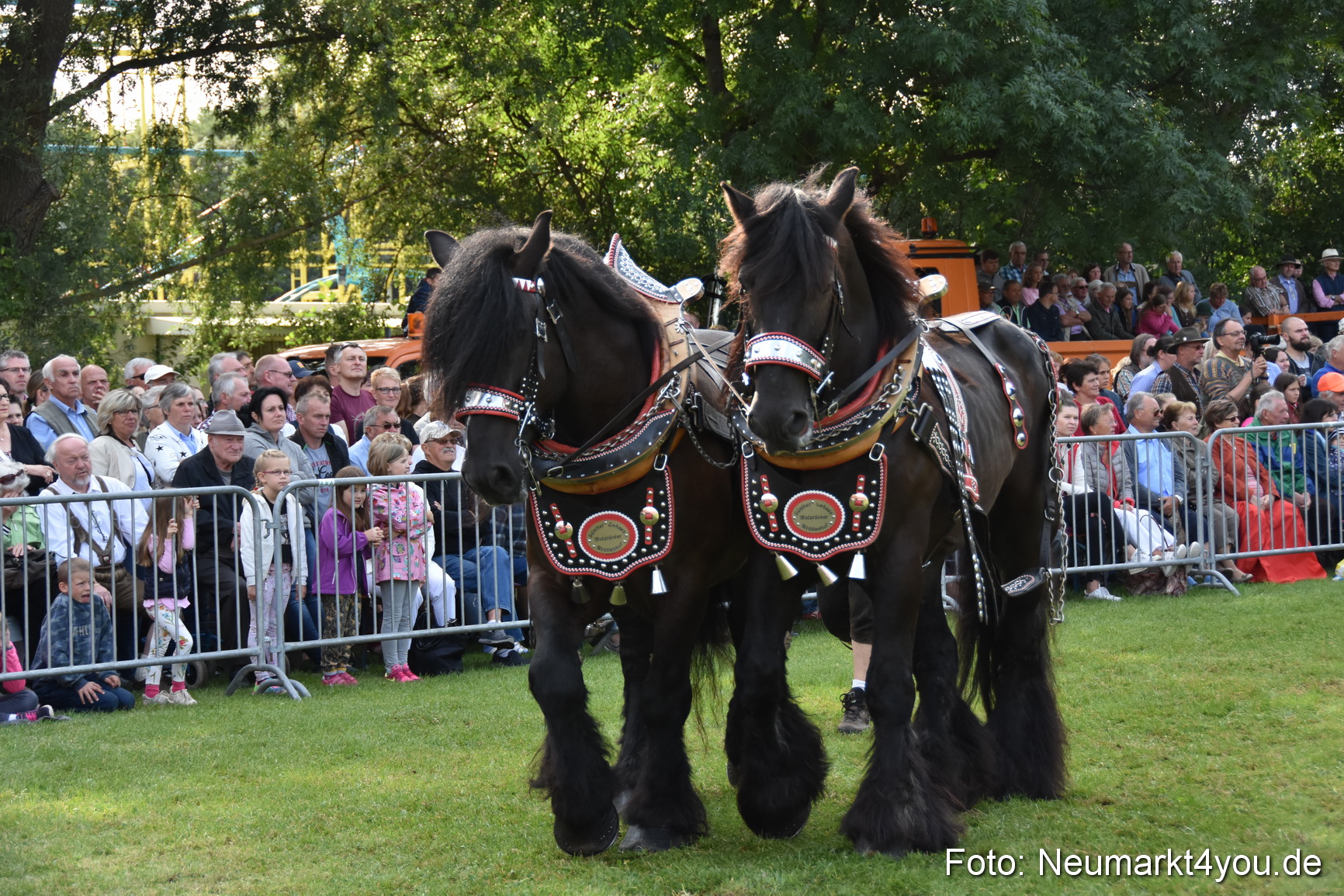 Pferde und Fohlenschau 2017 0133