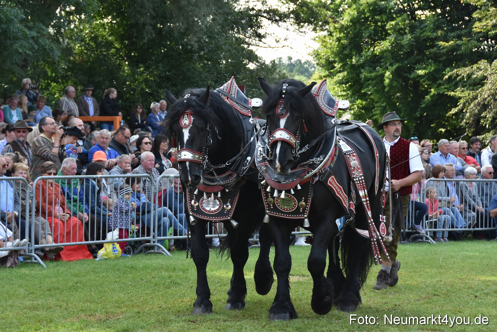 Pferde und Fohlenschau 2017 0140