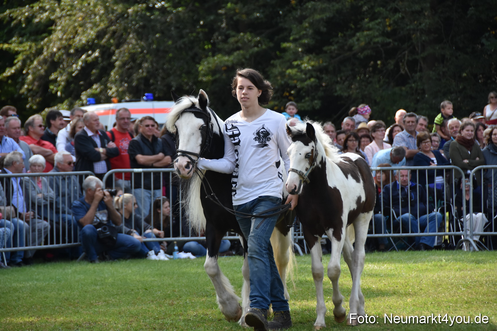 Pferde und Fohlenschau 2017 0144