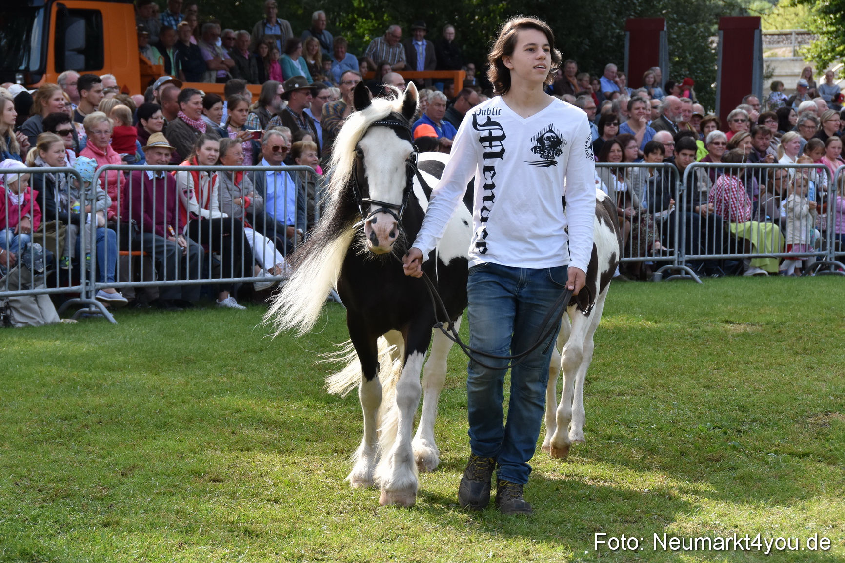 Pferde und Fohlenschau 2017 0147