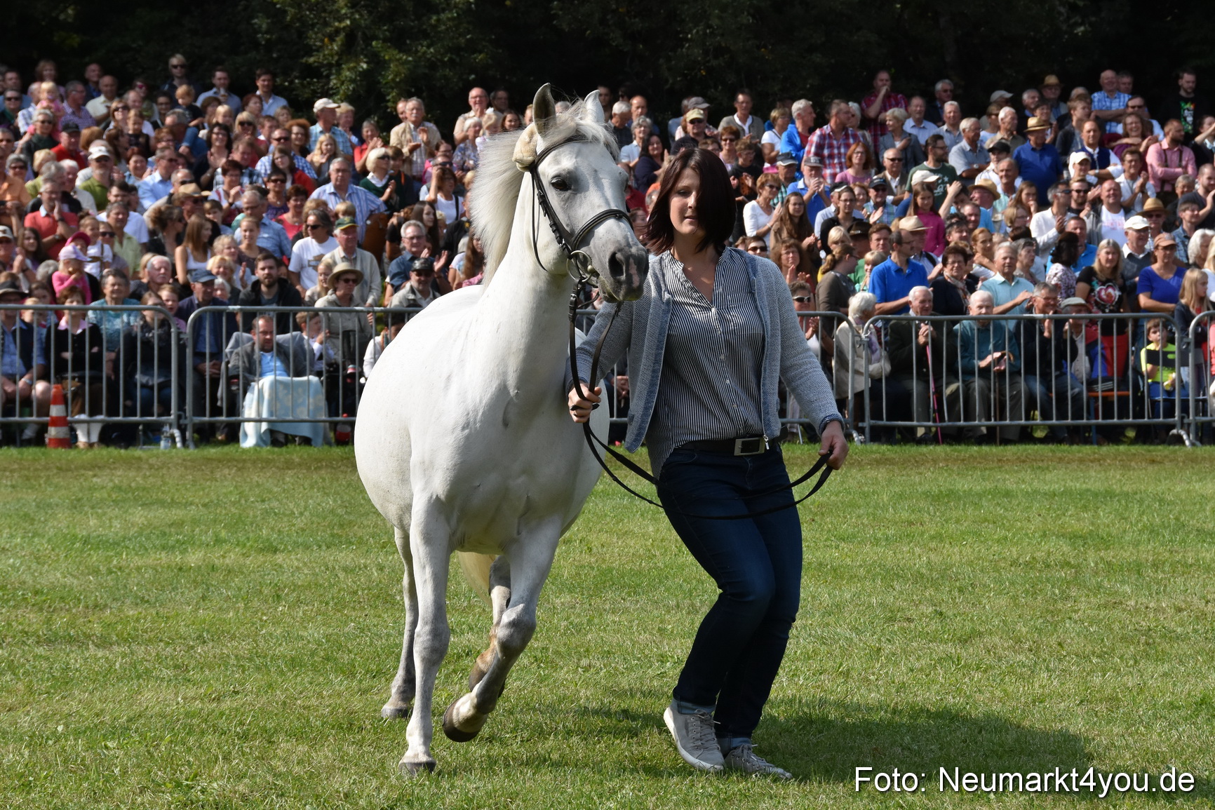 Pferde und Fohlenschau 2017 0150
