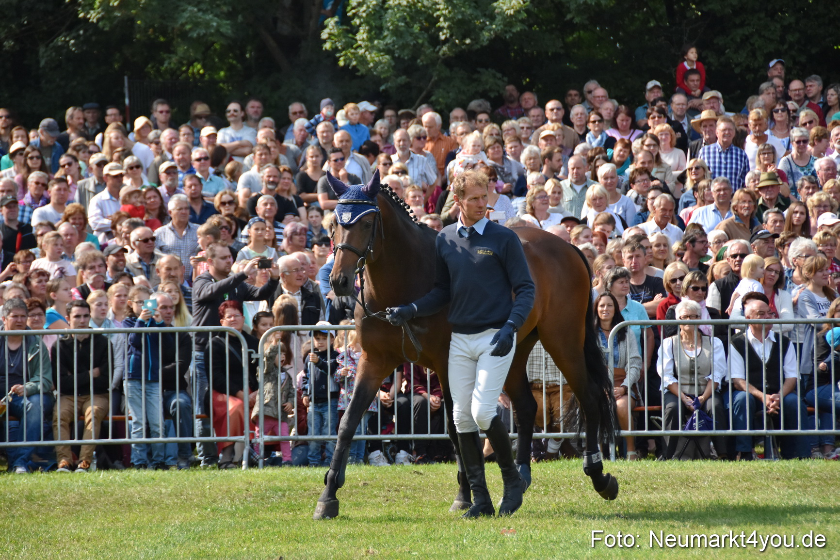 Pferde und Fohlenschau 2017 0152