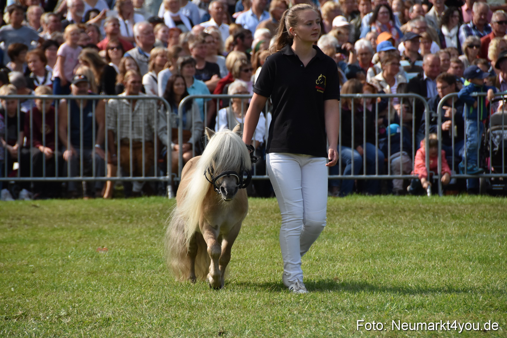 Pferde und Fohlenschau 2017 0154