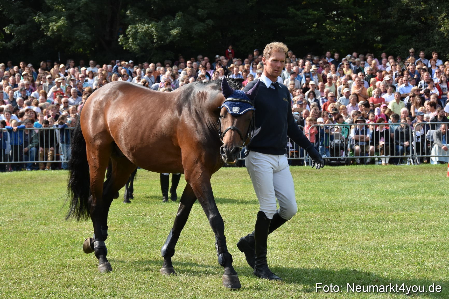 Pferde und Fohlenschau 2017 0155