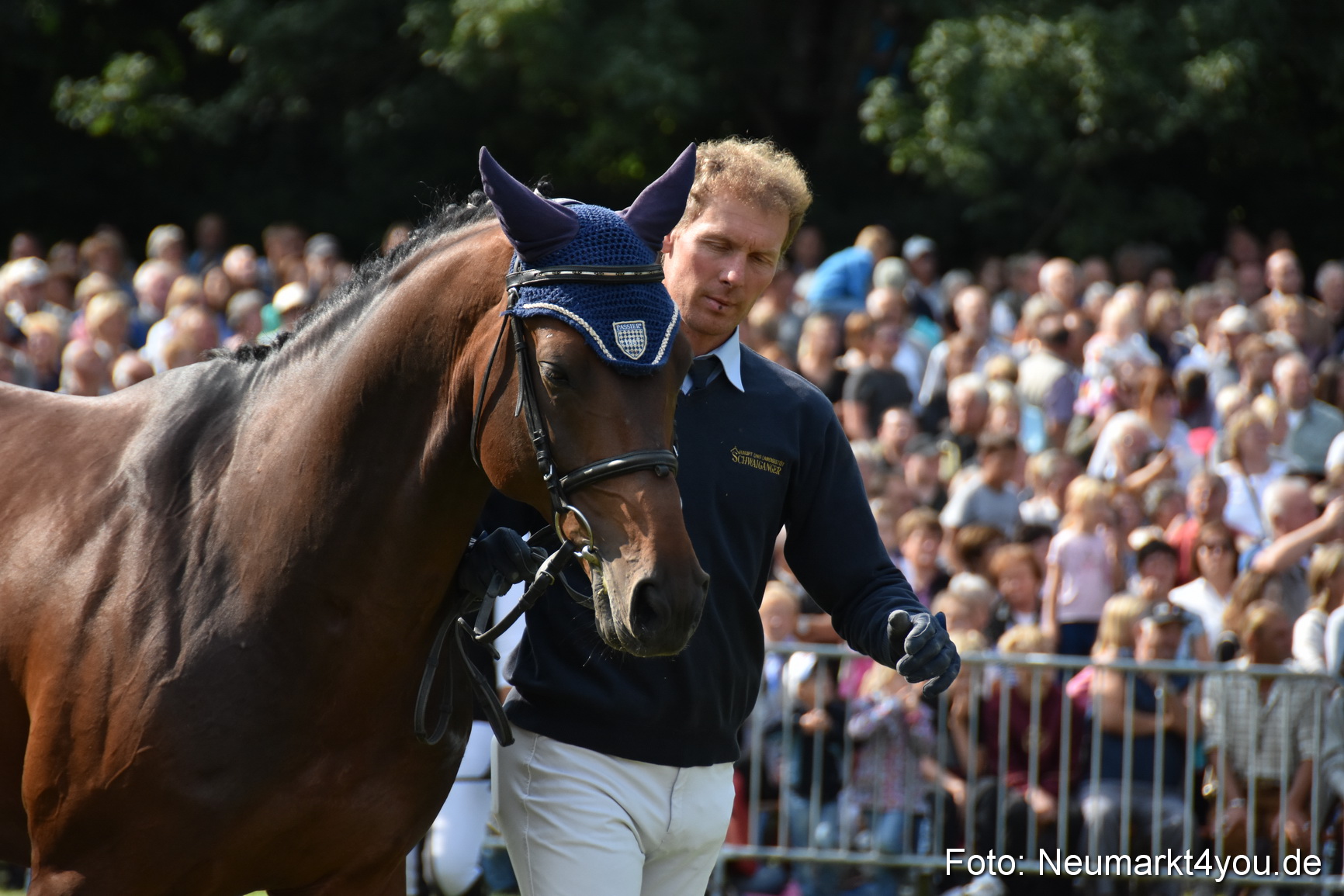 Pferde und Fohlenschau 2017 0156