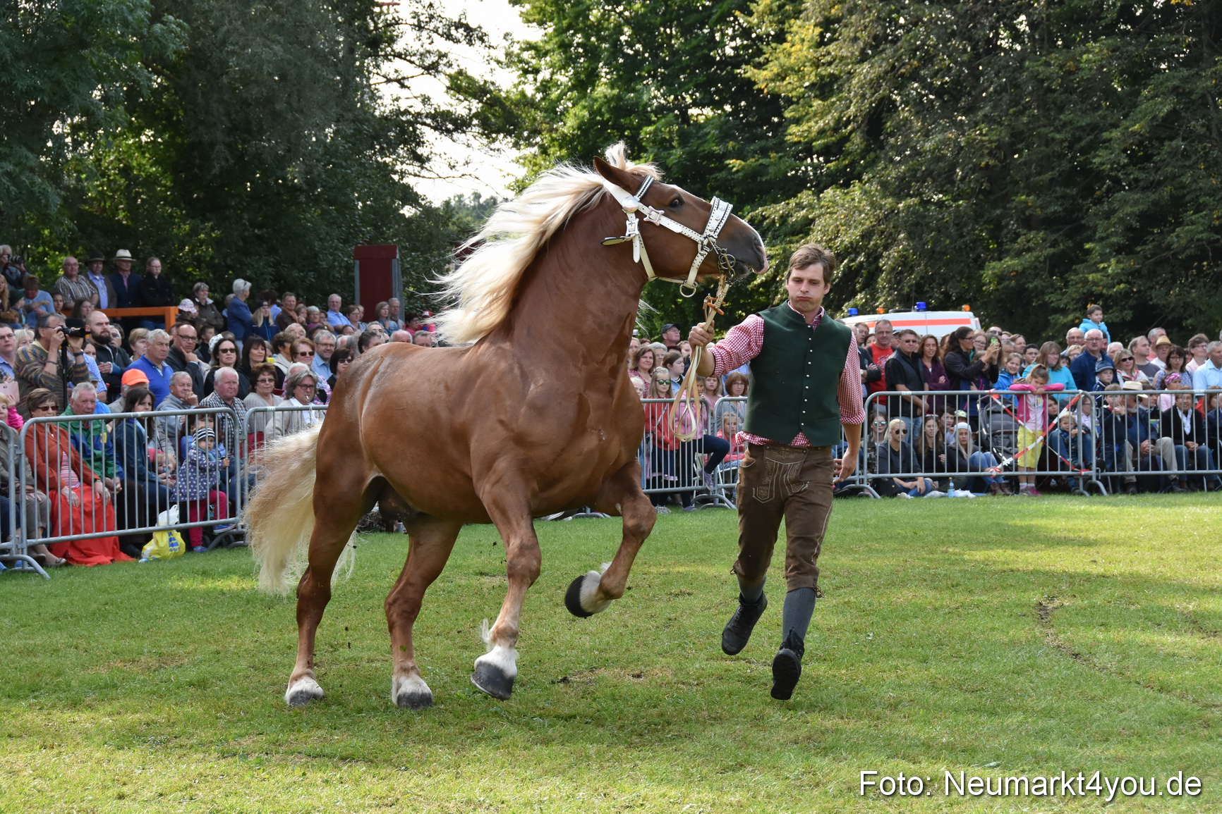Pferde und Fohlenschau 2017 0157