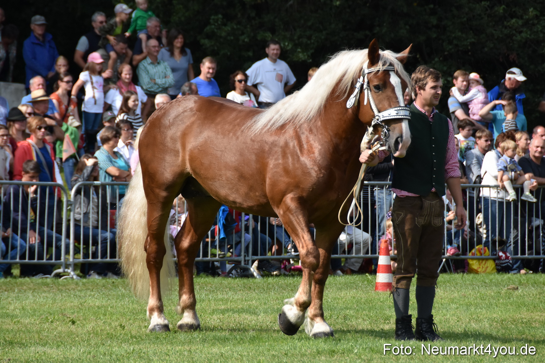 Pferde und Fohlenschau 2017 0163
