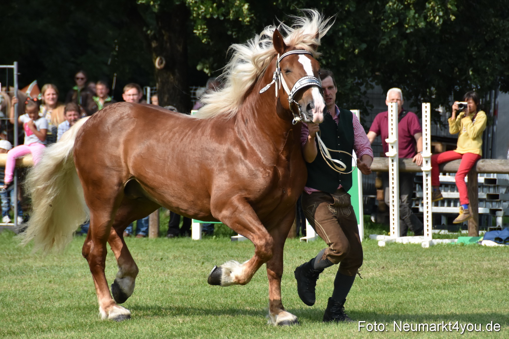 Pferde und Fohlenschau 2017 0165
