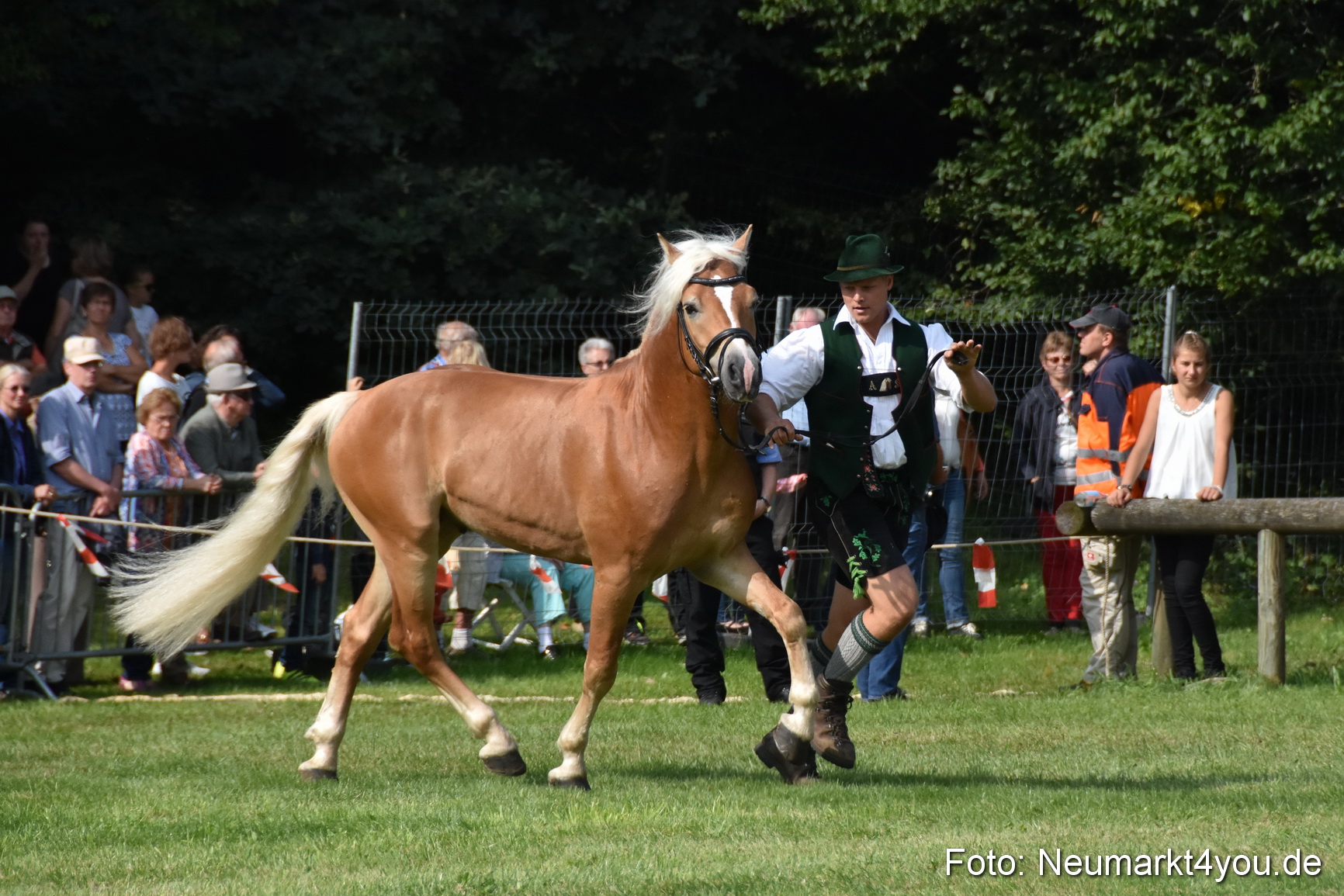 Pferde und Fohlenschau 2017 0169