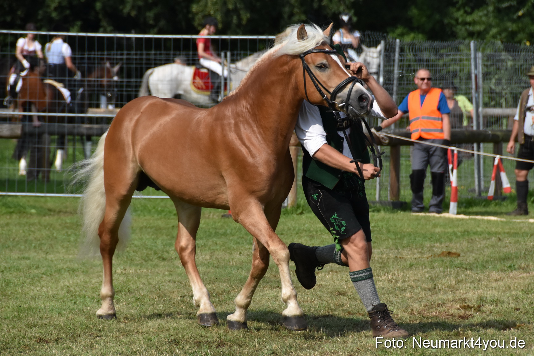 Pferde und Fohlenschau 2017 0170