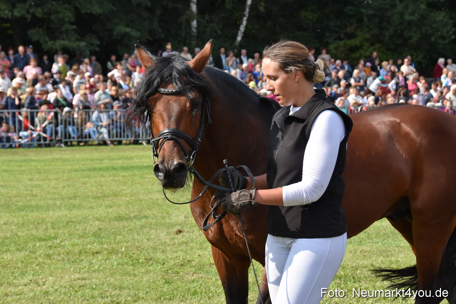 Pferde und Fohlenschau 2017 0171