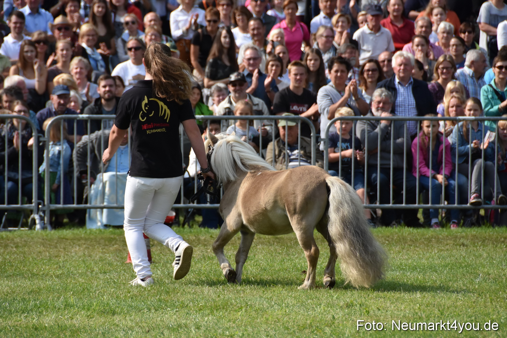 Pferde und Fohlenschau 2017 0172