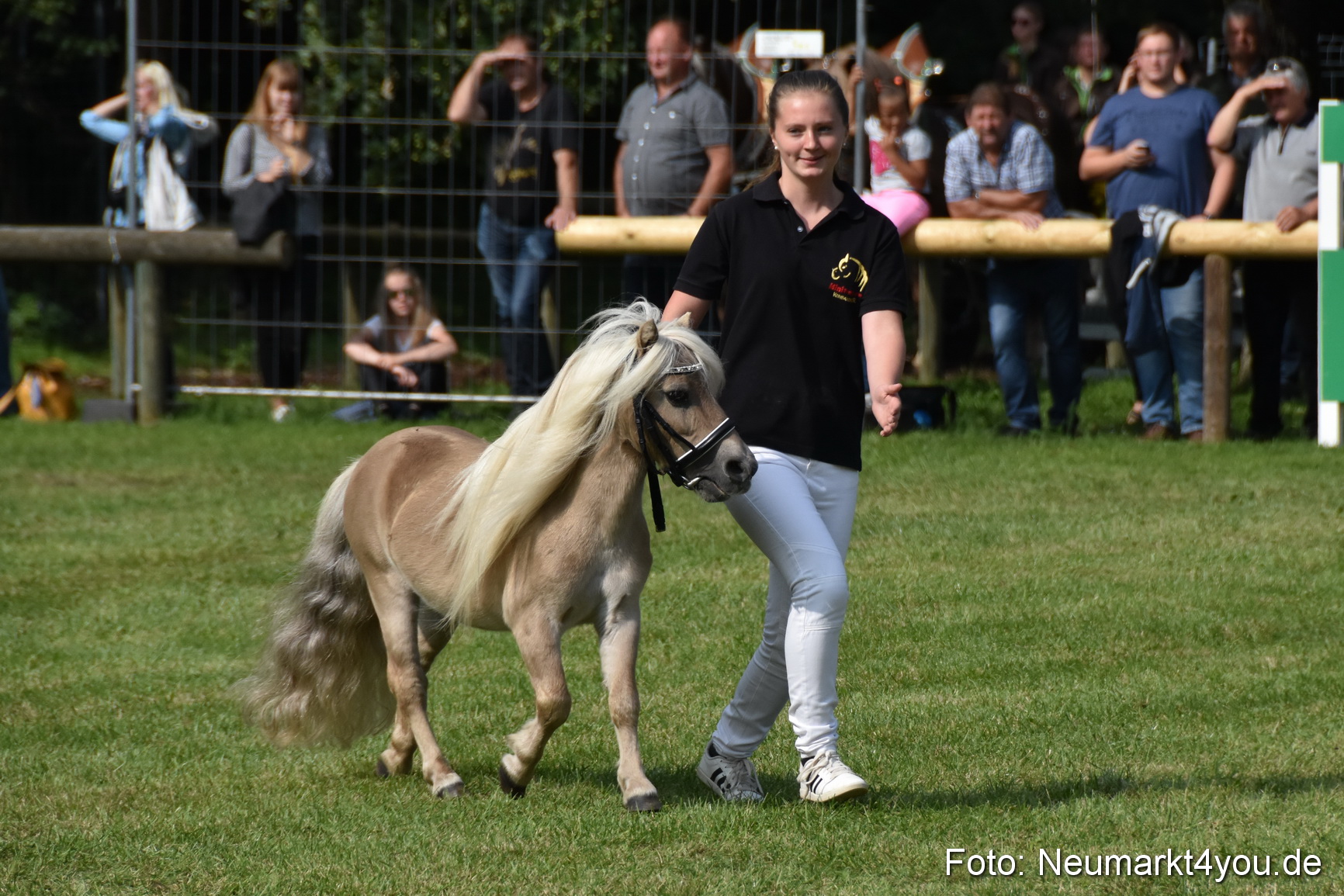 Pferde und Fohlenschau 2017 0173