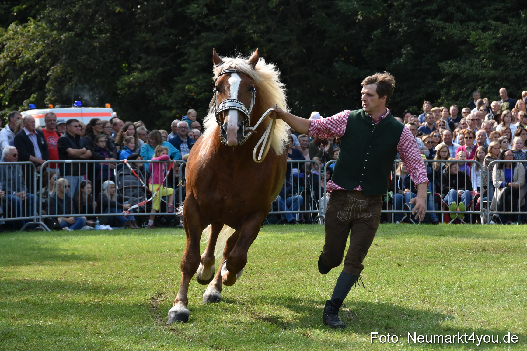 Pferde und Fohlenschau 2017 0176