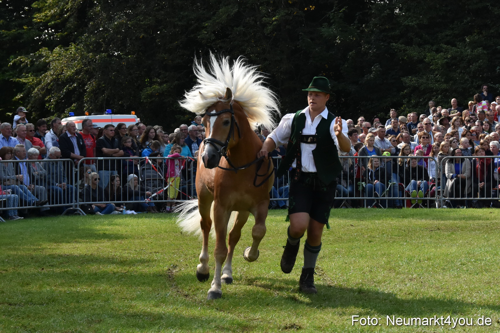 Pferde und Fohlenschau 2017 0178