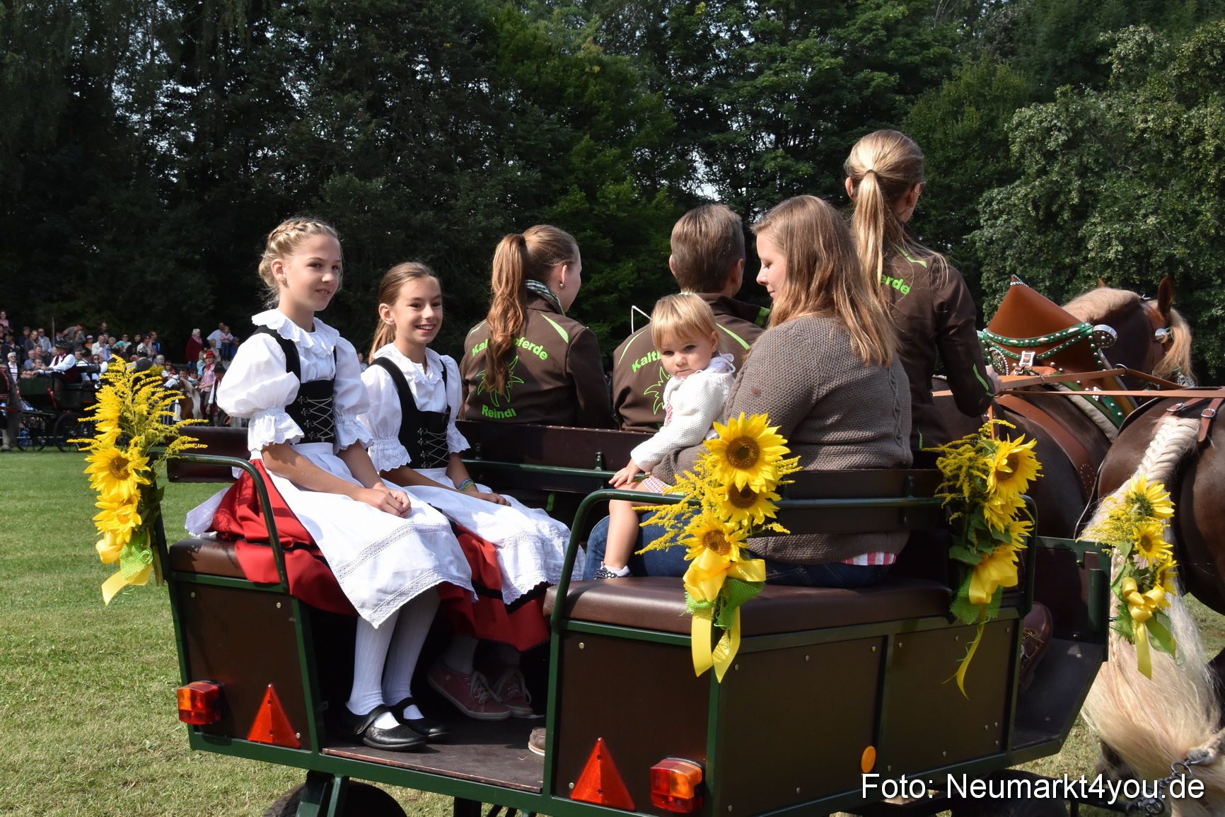 Pferde und Fohlenschau 2017 0182