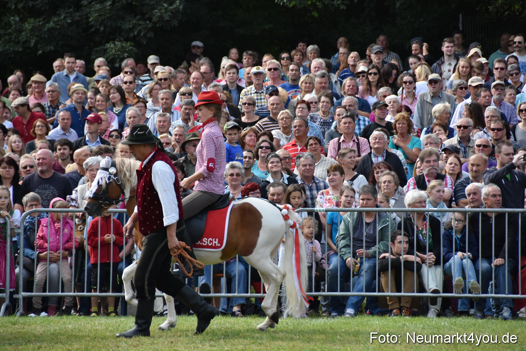 Pferde und Fohlenschau 2017 0183