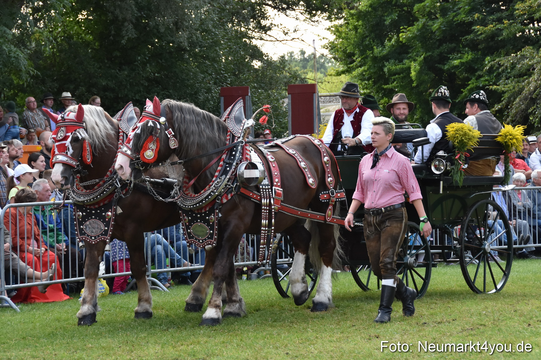 Pferde und Fohlenschau 2017 0184