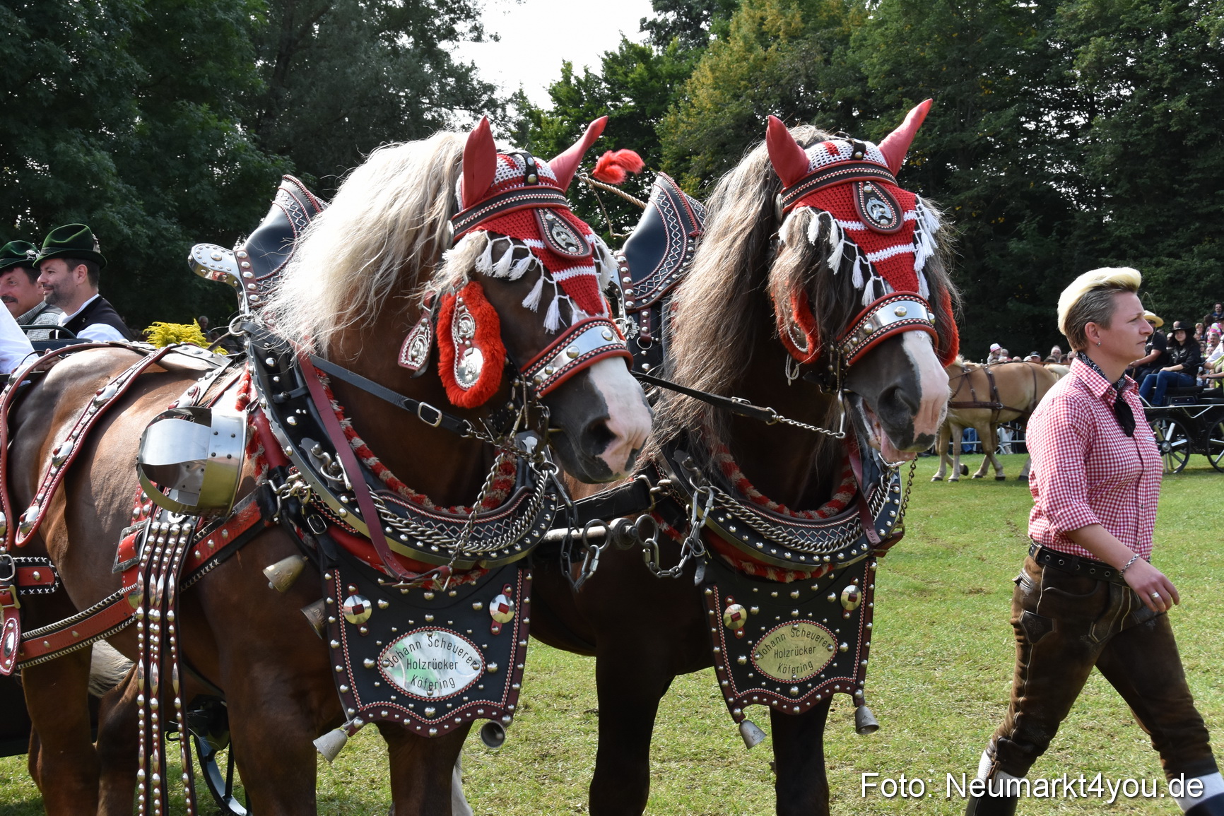 Pferde und Fohlenschau 2017 0185