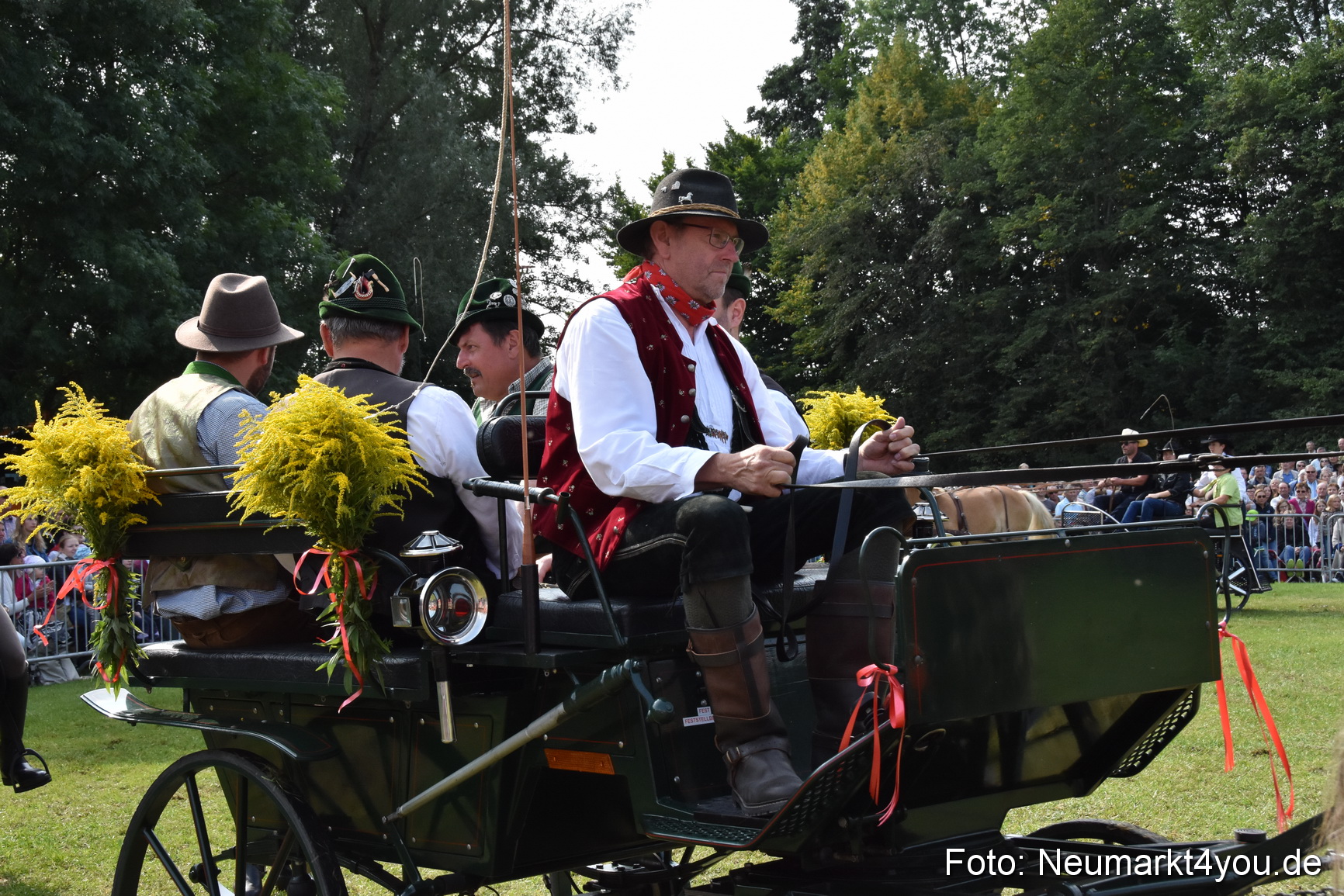 Pferde und Fohlenschau 2017 0186
