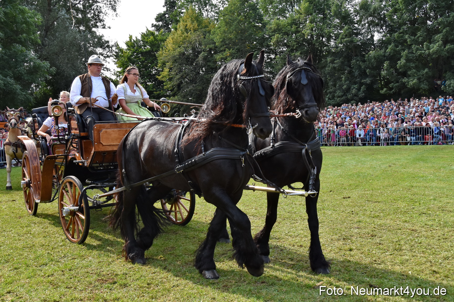 Pferde und Fohlenschau 2017 0188