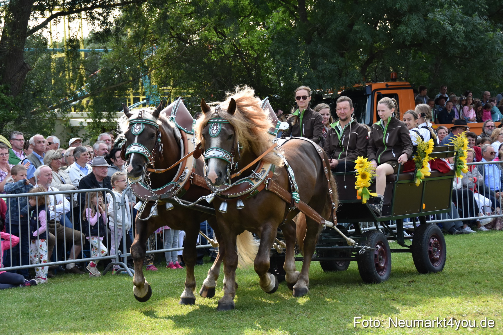 Pferde und Fohlenschau 2017 0191