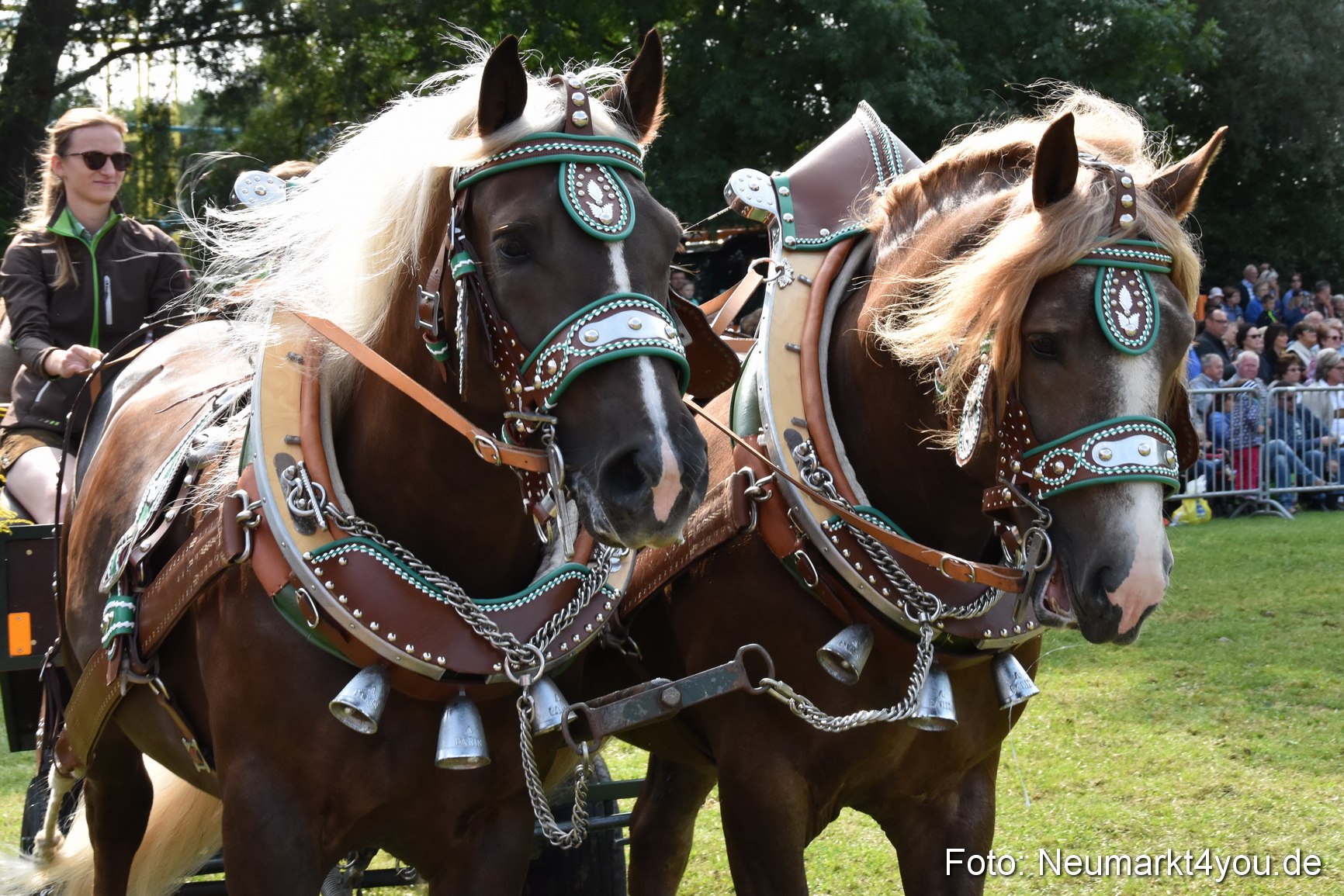 Pferde und Fohlenschau 2017 0192