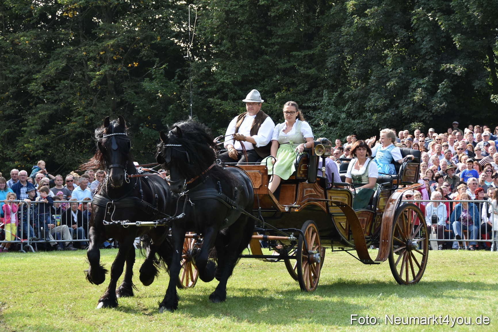 Pferde und Fohlenschau 2017 0193