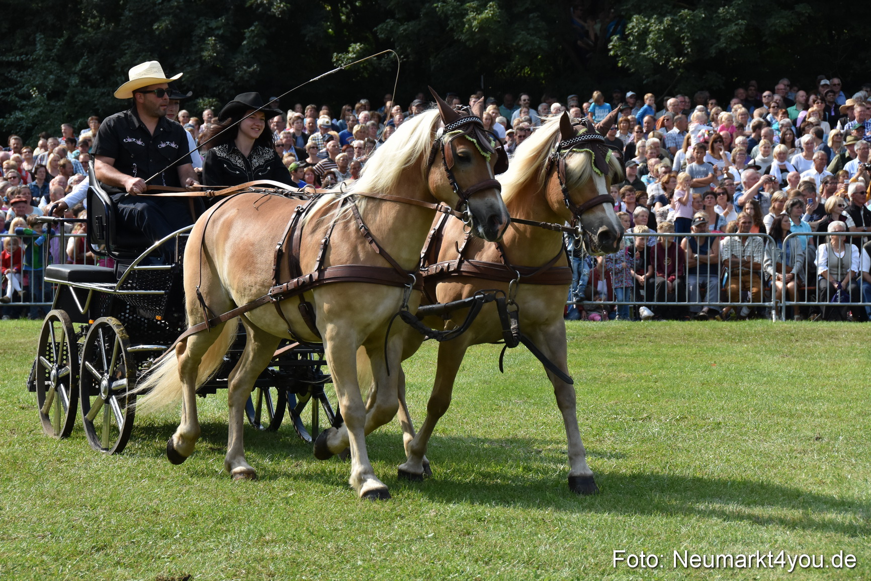 Pferde und Fohlenschau 2017 0195