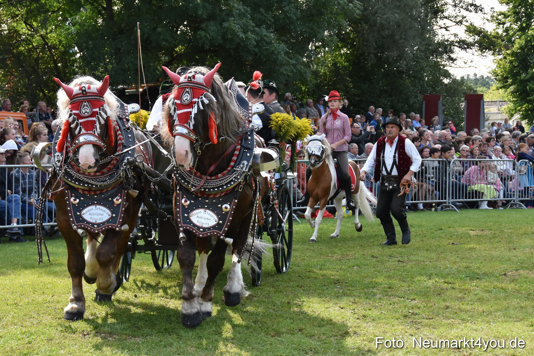 Pferde und Fohlenschau 2017 0196