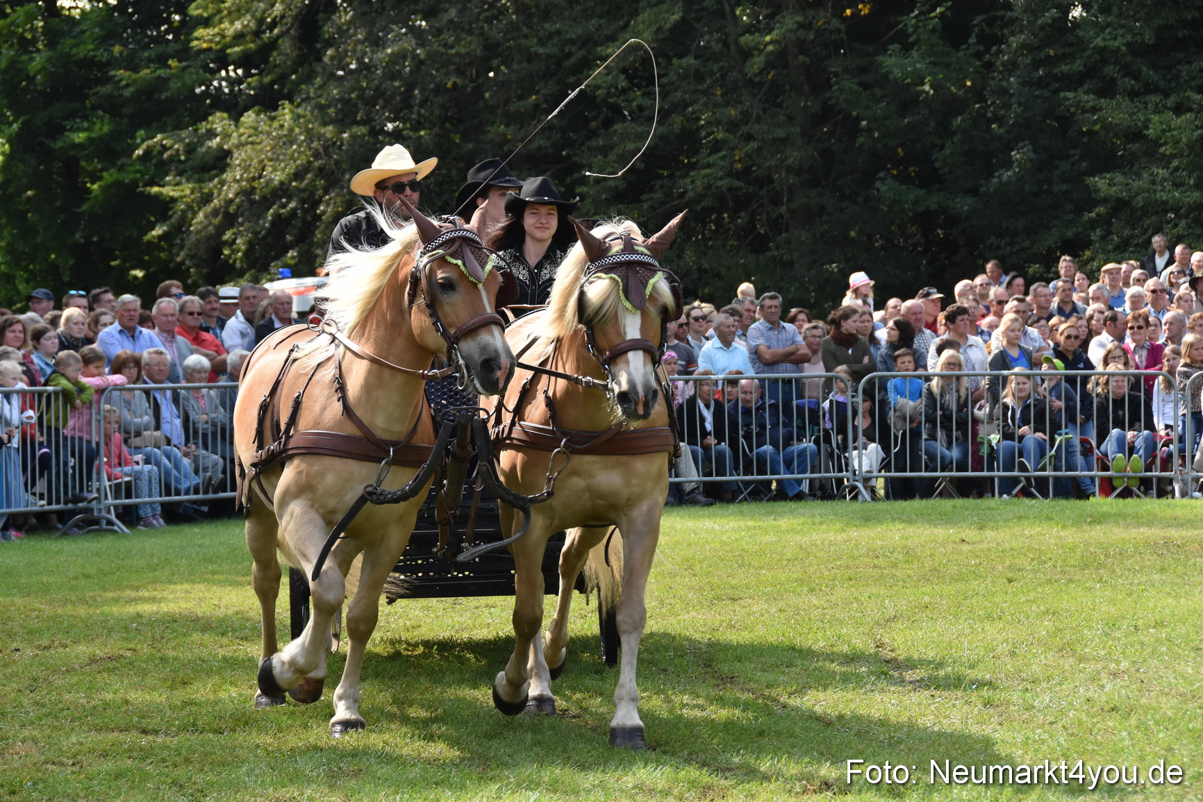 Pferde und Fohlenschau 2017 0197