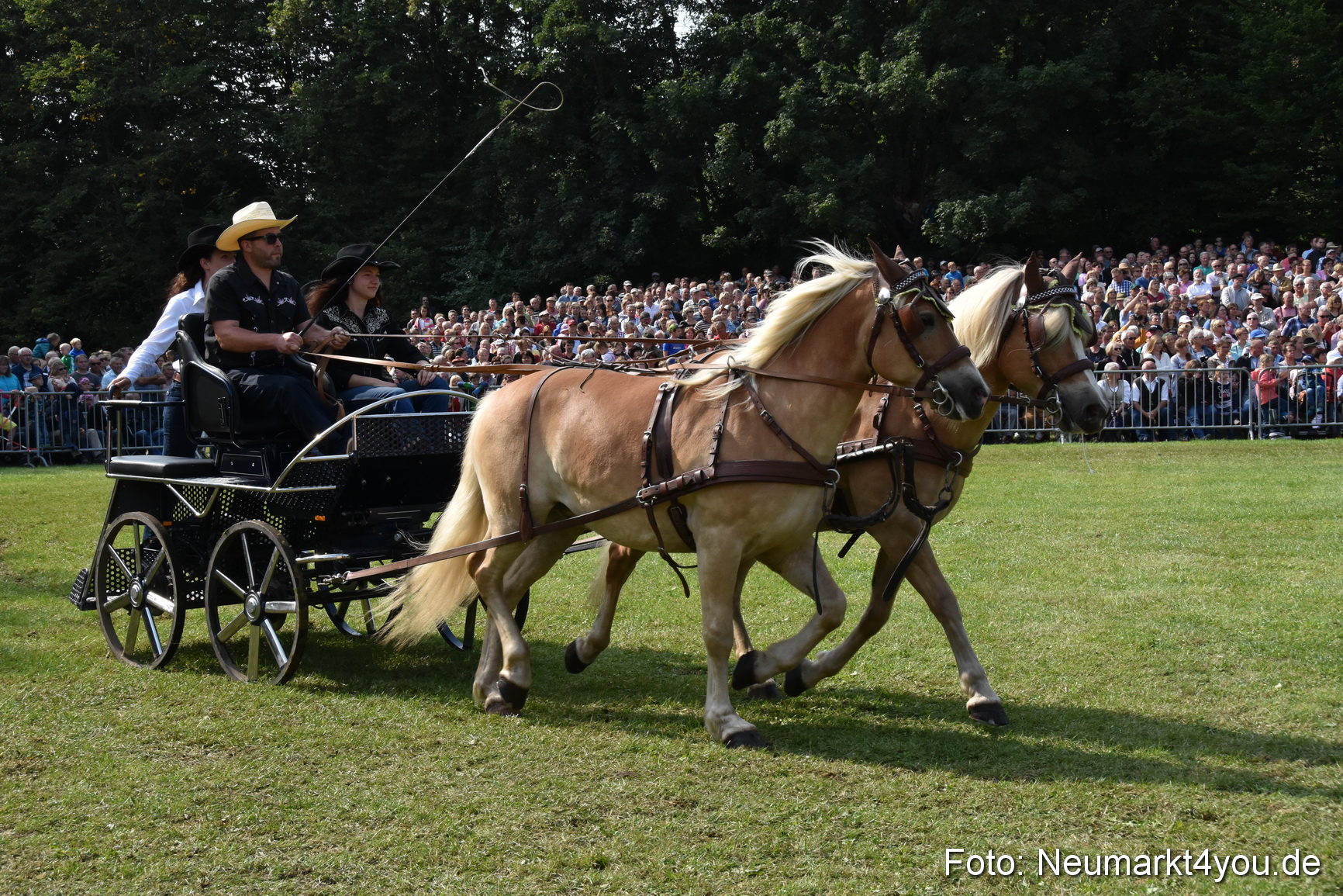 Pferde und Fohlenschau 2017 0198