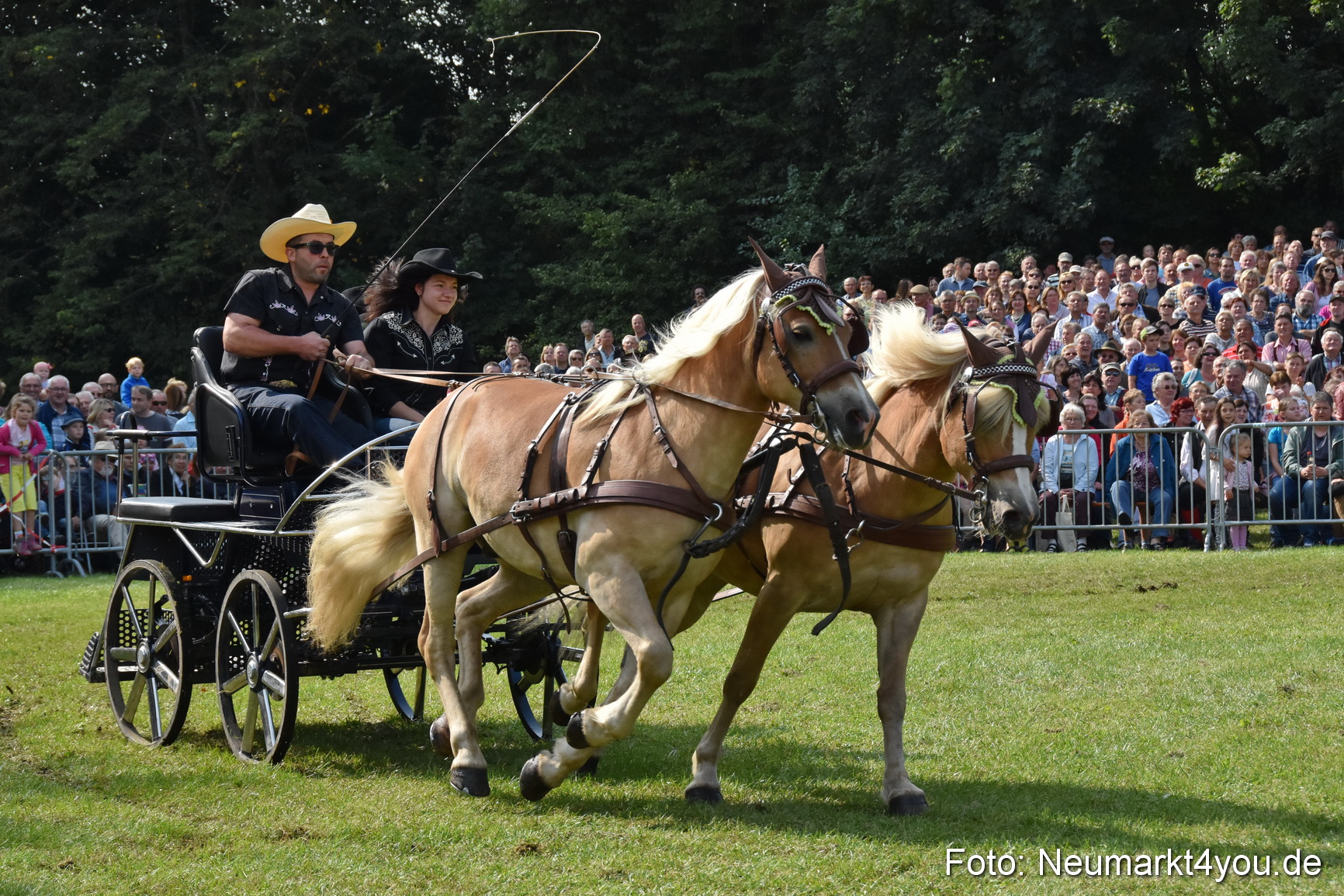 Pferde und Fohlenschau 2017 0200
