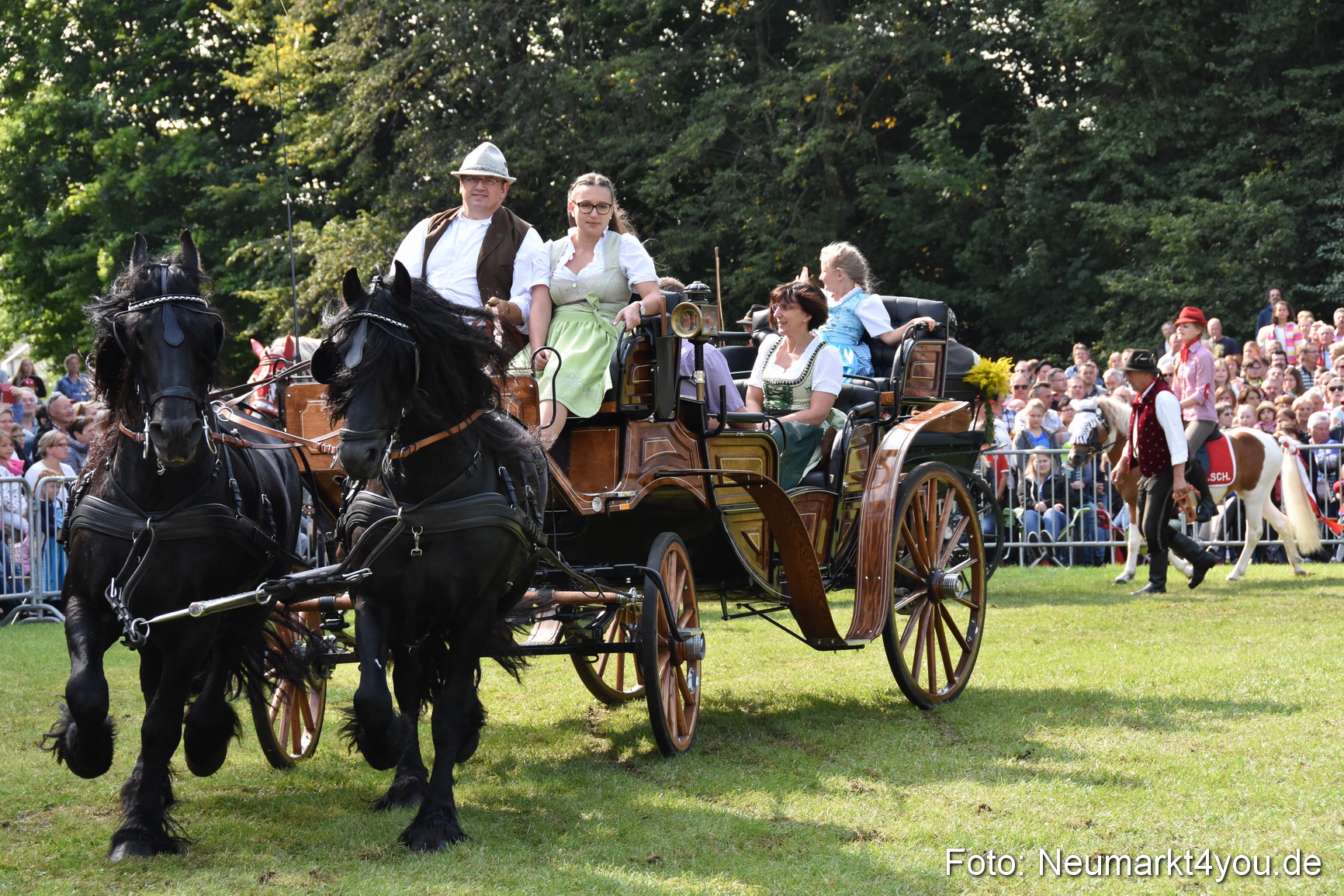 Pferde und Fohlenschau 2017 0201