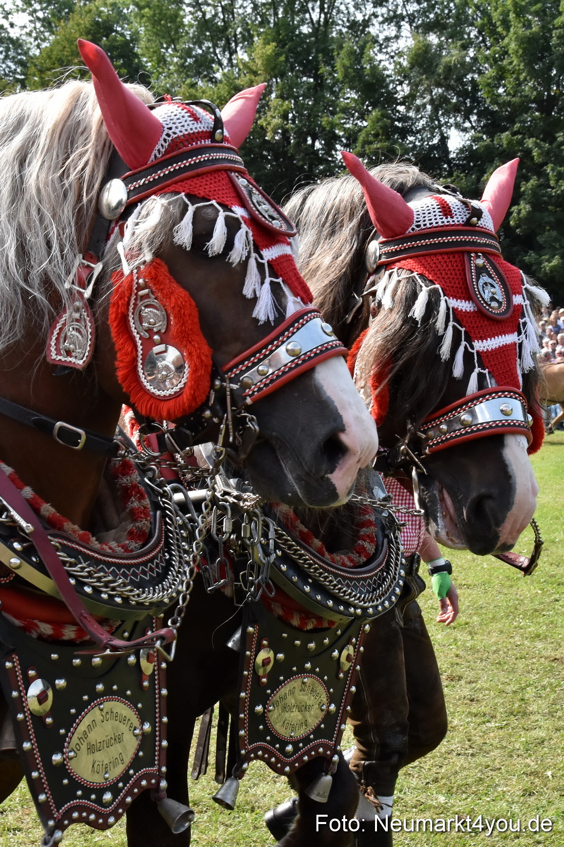 Pferde und Fohlenschau 2017 0202