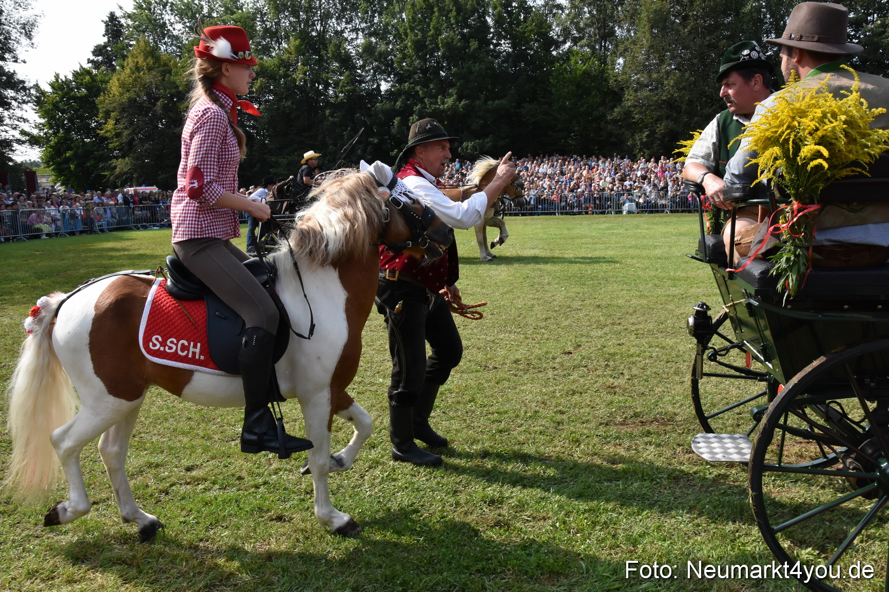 Pferde und Fohlenschau 2017 0203