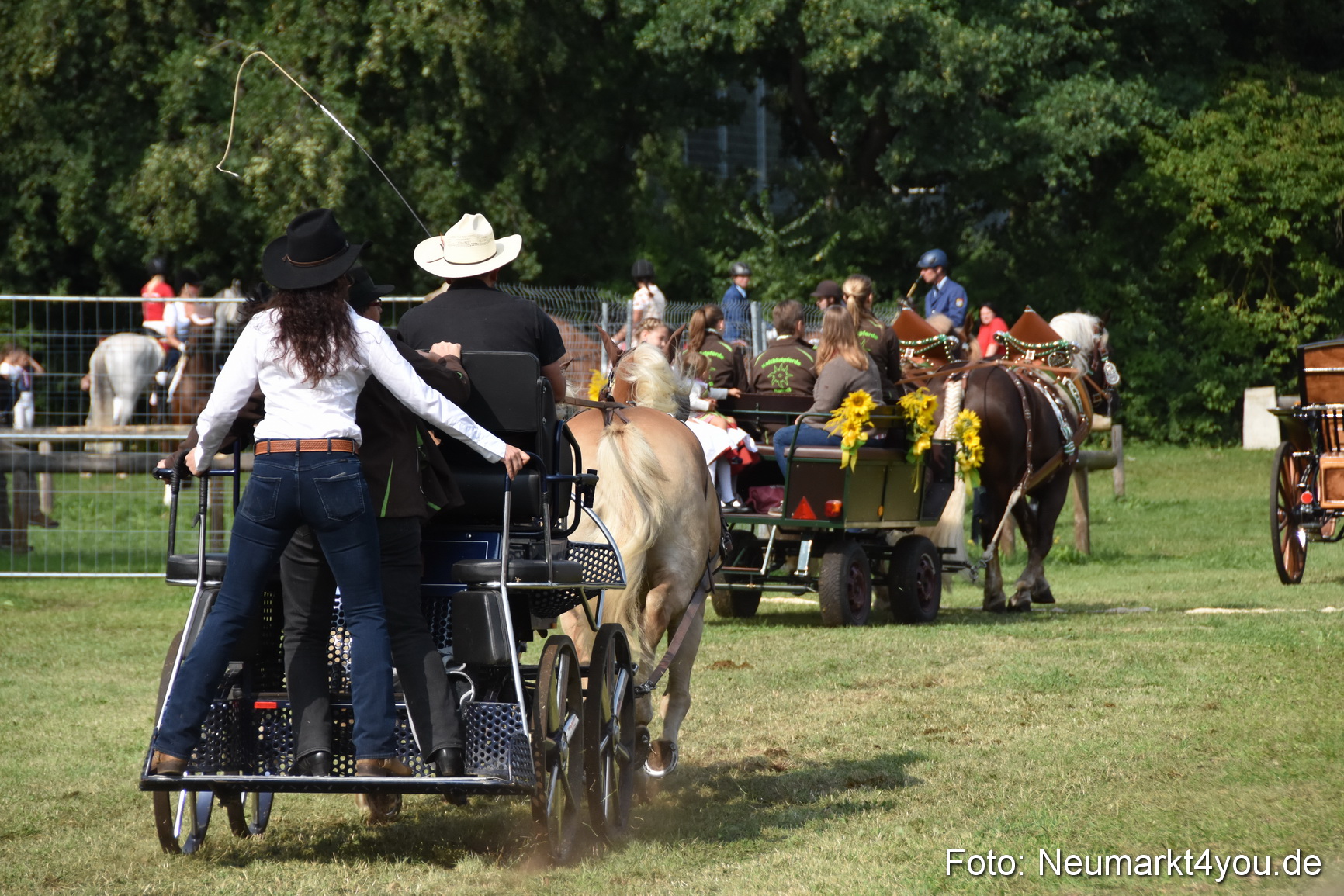 Pferde und Fohlenschau 2017 0205