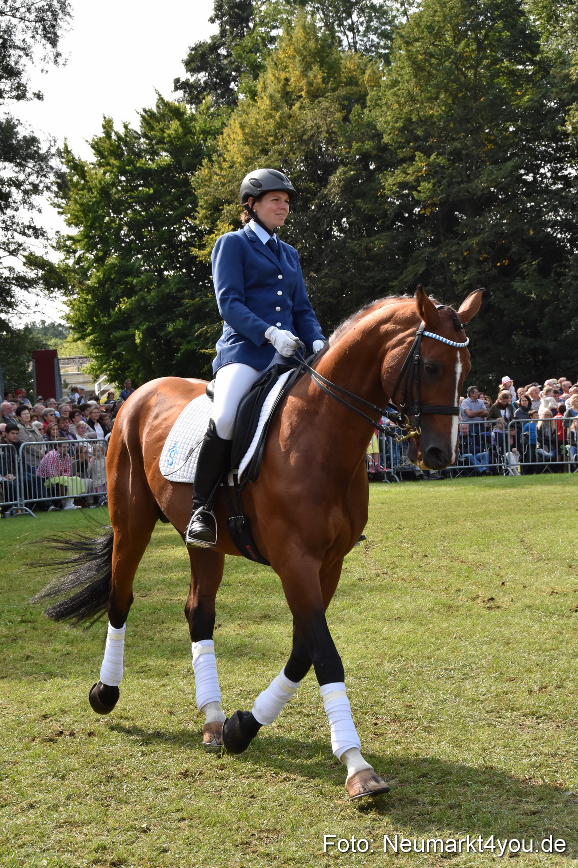 Pferde und Fohlenschau 2017 0206