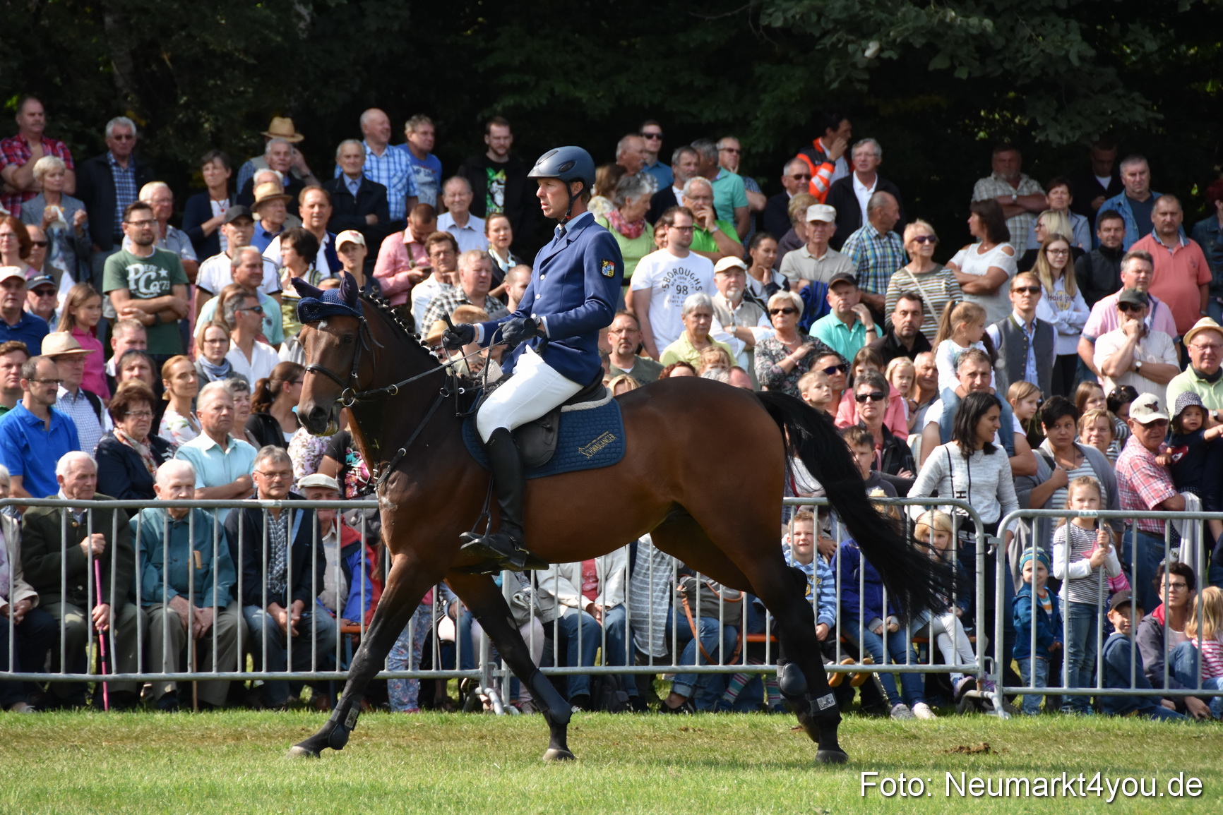 Pferde und Fohlenschau 2017 0207