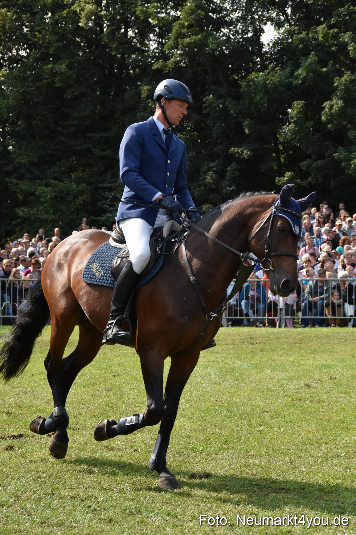 Pferde und Fohlenschau 2017 0208