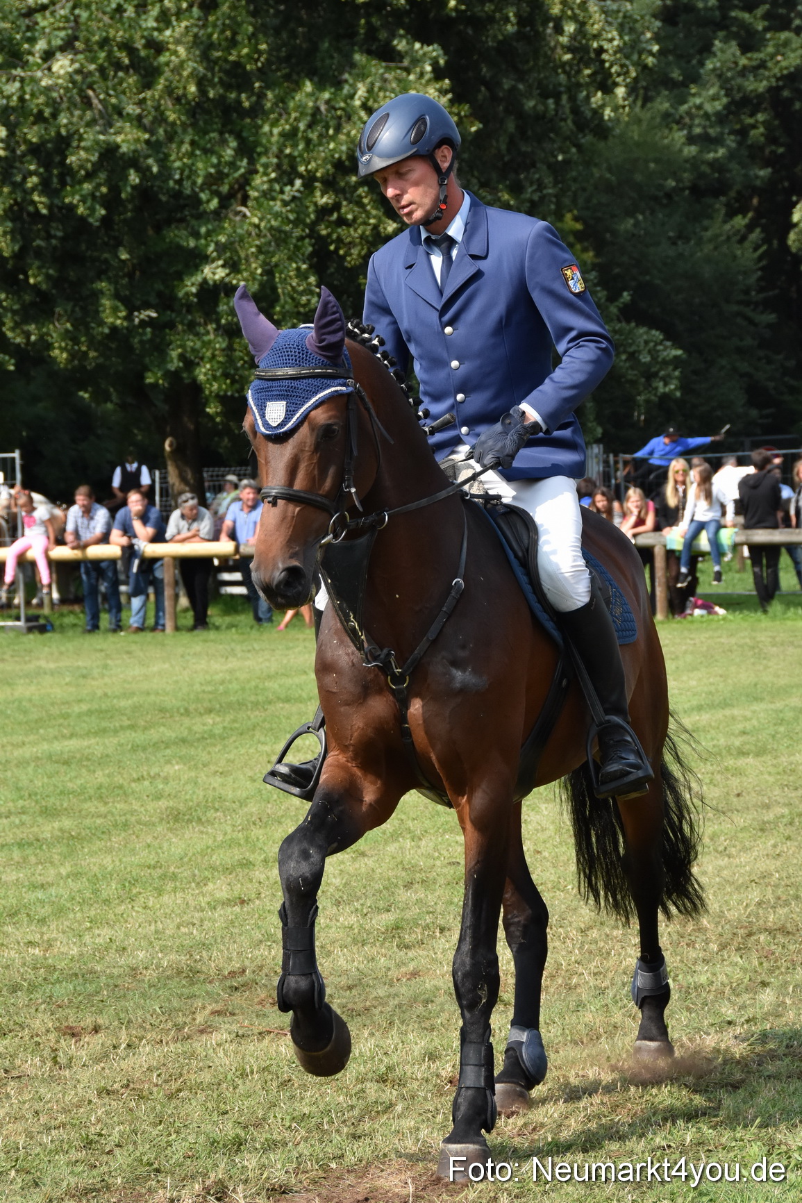 Pferde und Fohlenschau 2017 0209