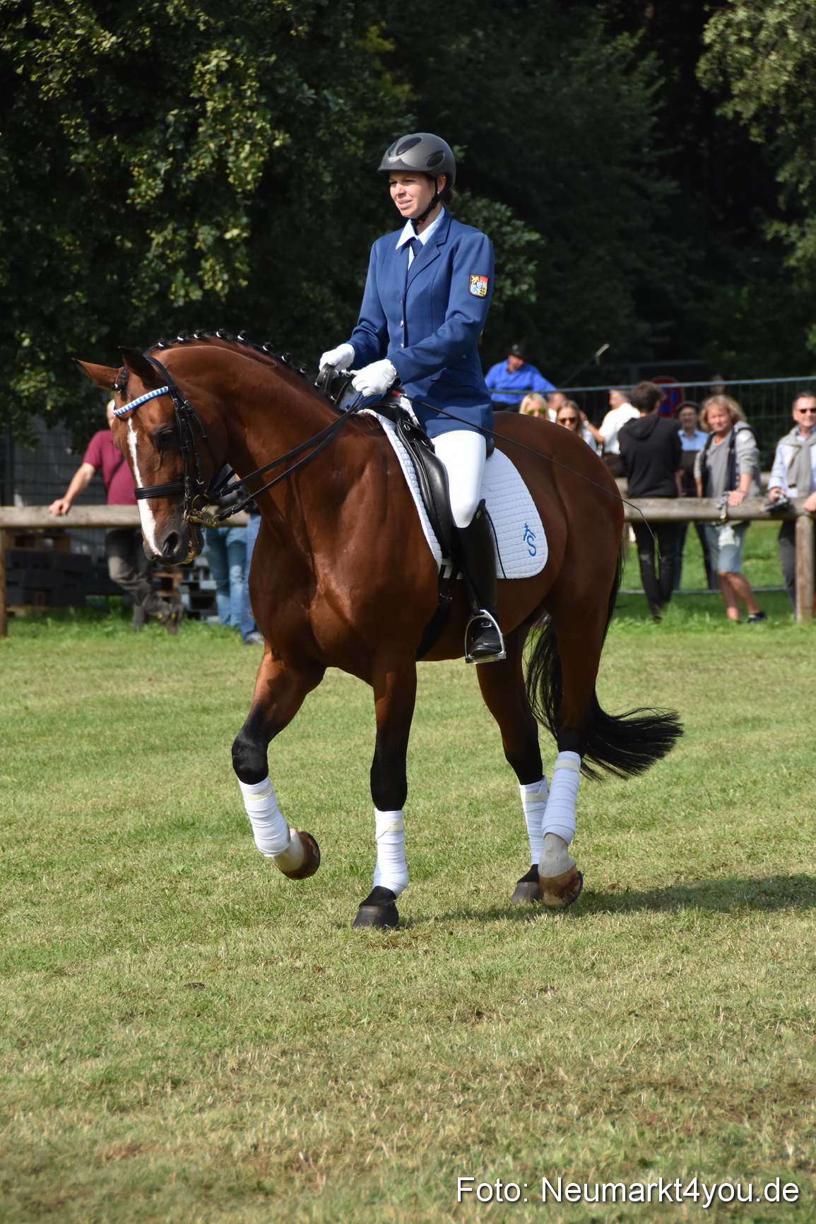 Pferde und Fohlenschau 2017 0210