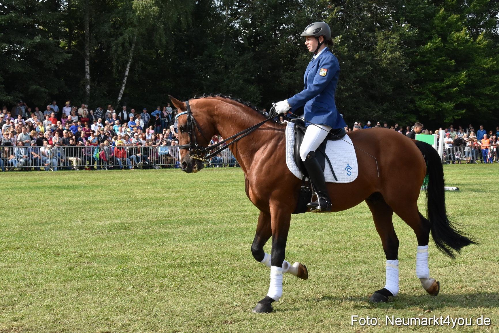 Pferde und Fohlenschau 2017 0211