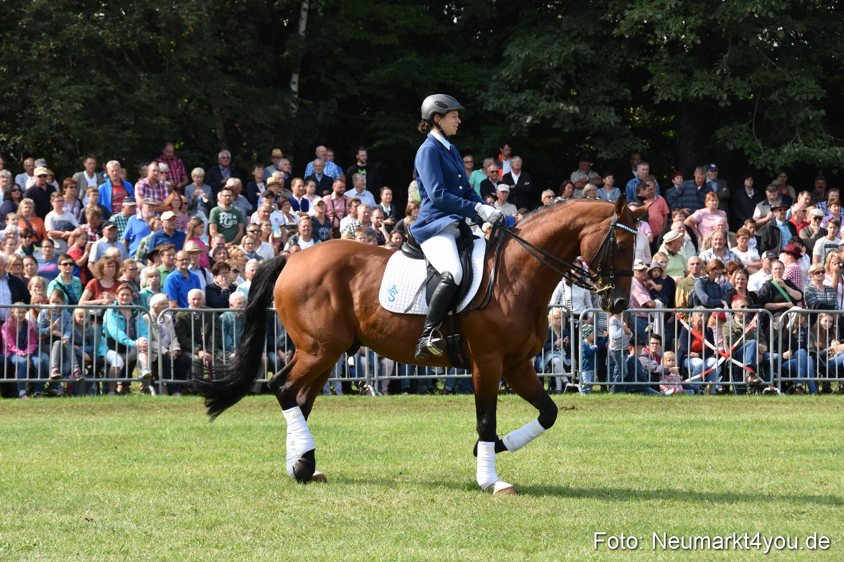 Pferde und Fohlenschau 2017 0212