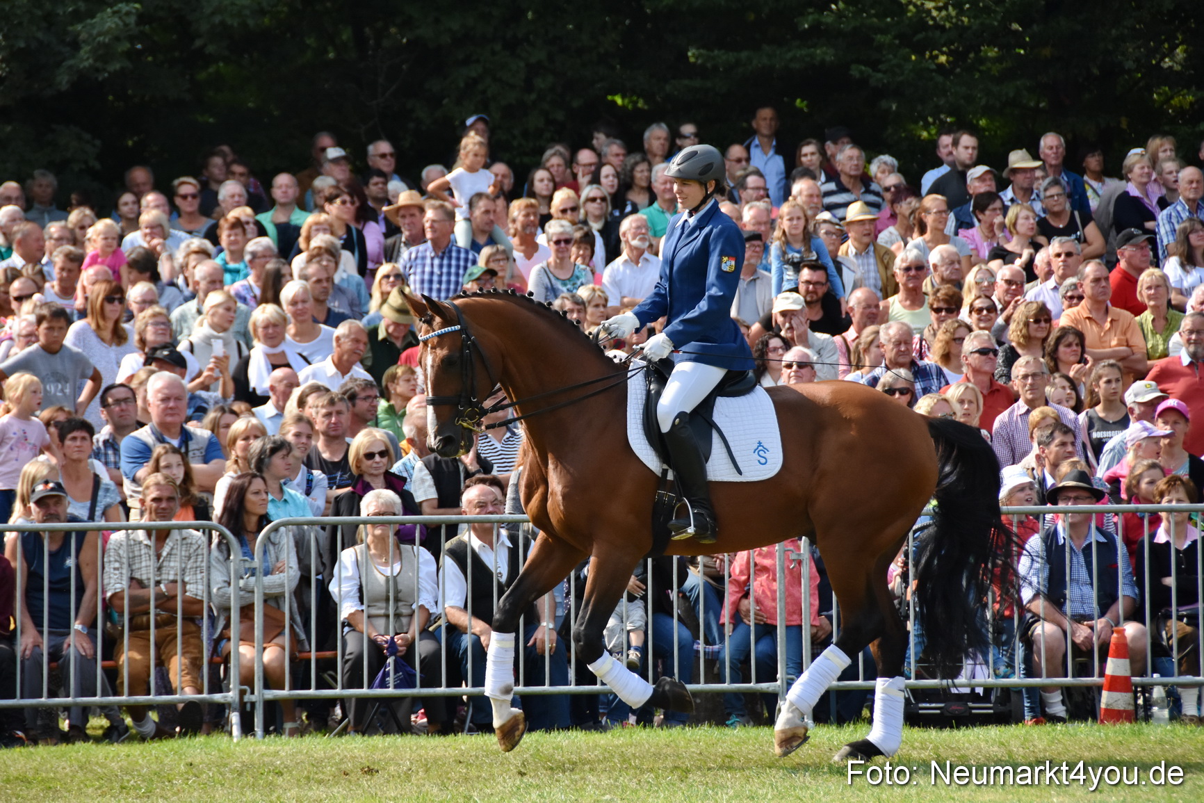 Pferde und Fohlenschau 2017 0213