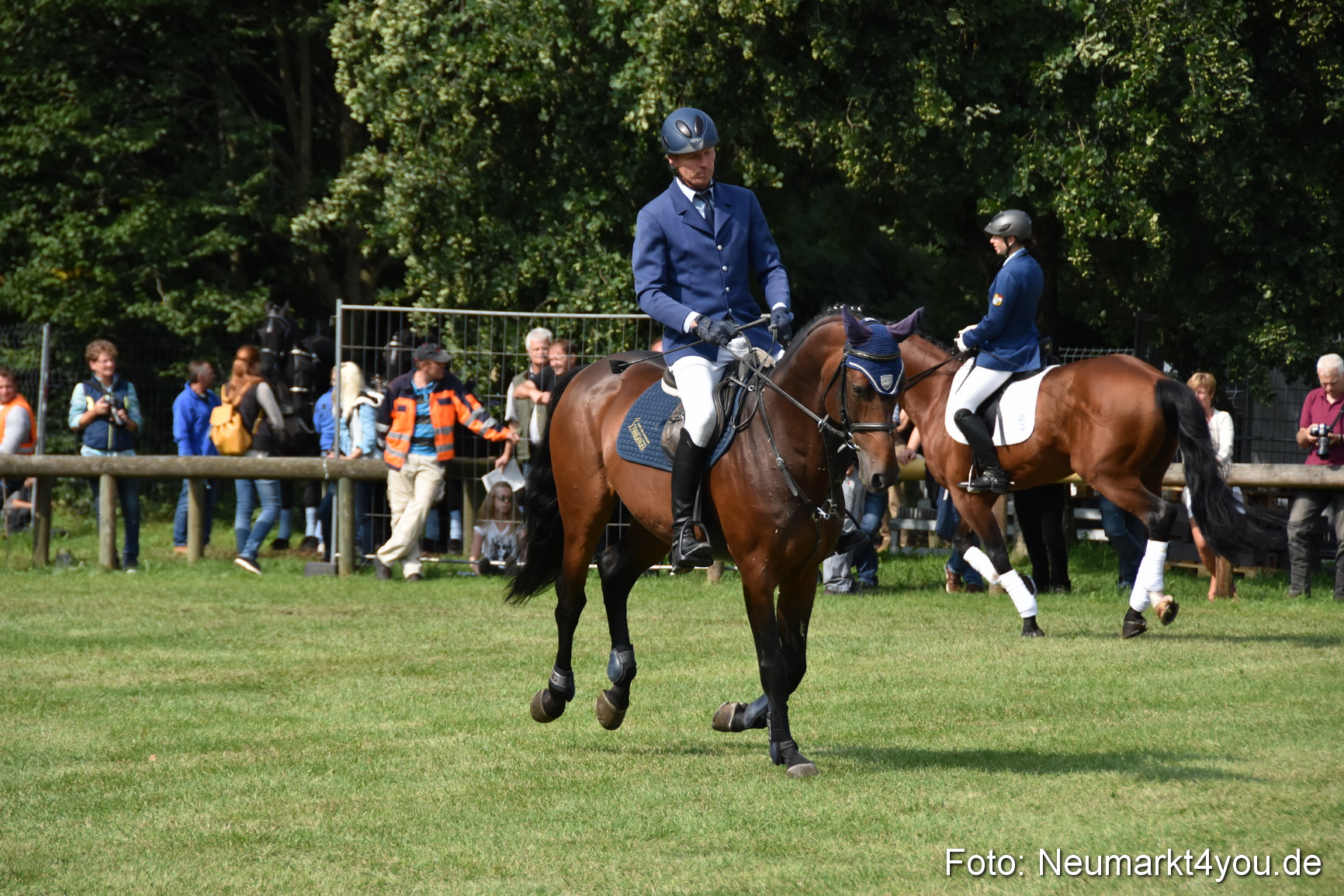 Pferde und Fohlenschau 2017 0214