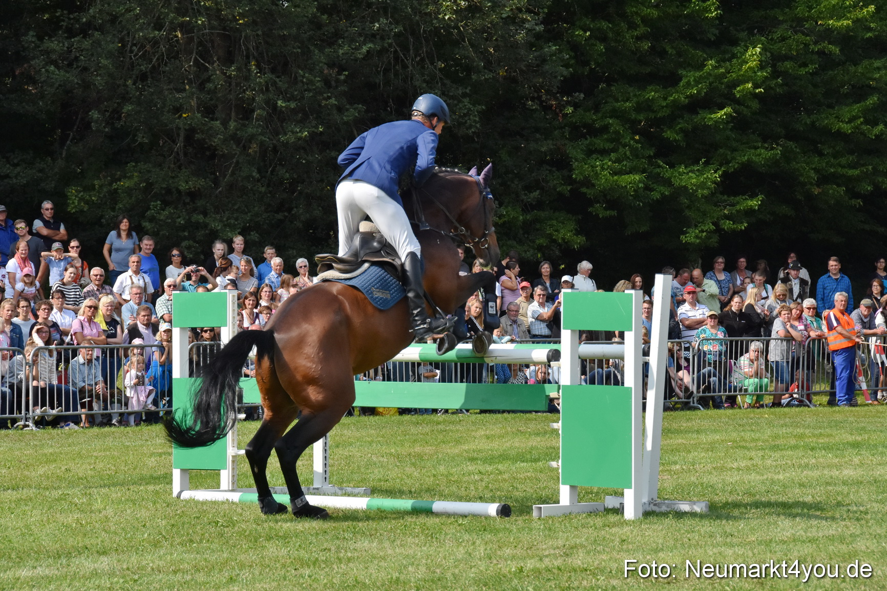 Pferde und Fohlenschau 2017 0215