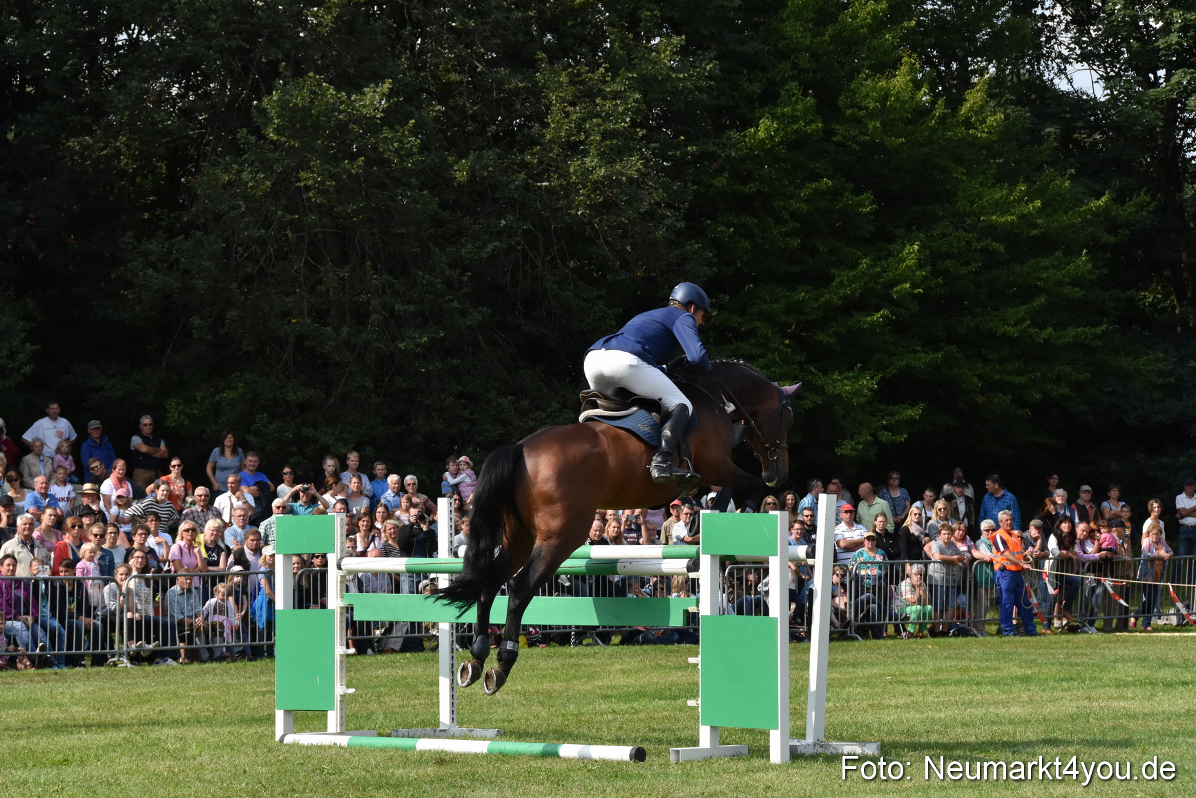 Pferde und Fohlenschau 2017 0216